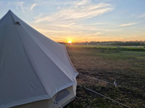 Coastal Glamp at Bellarine Estate winery